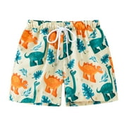 Rovga Boys Swimwear Cartoon Swim Trunks Swimsuit Bathing Suit Beach Swimming Shorts